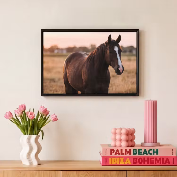Canvas met lijst - Paard - Zonsondergang - Bruin — 8
