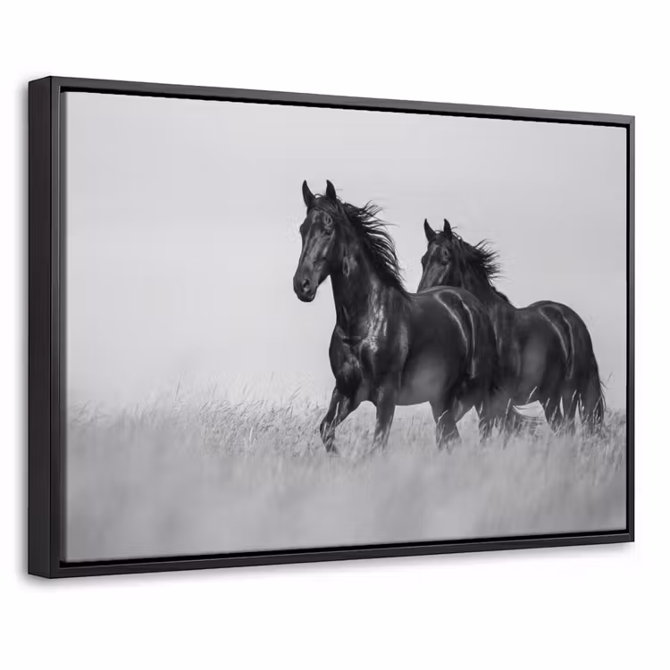 Canvas met lijst - Paarden - Gras - Zwart - Wit — 1