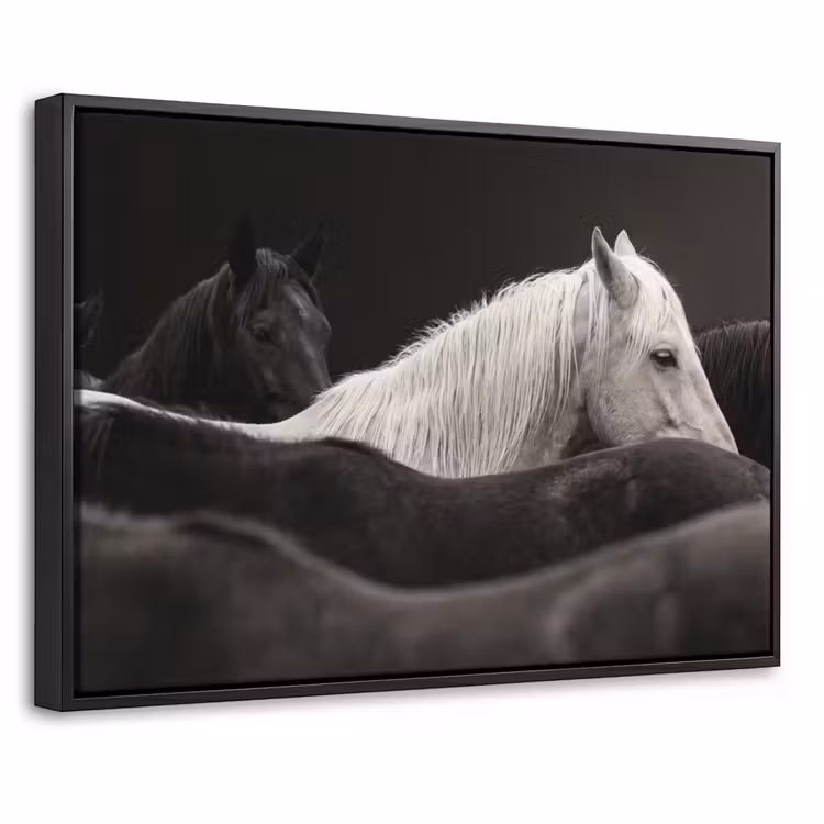Canvas met lijst - Paarden - Zwart - Wit - Kudde — 1