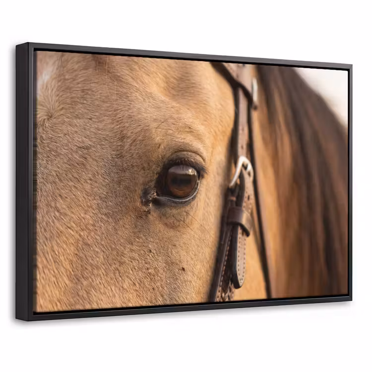 Canvas met lijst - Pferd - Auge - Braun — 1