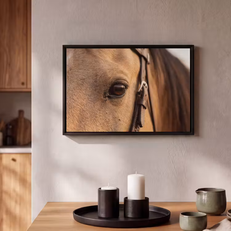 Canvas met lijst - Pferd - Auge - Braun — 2