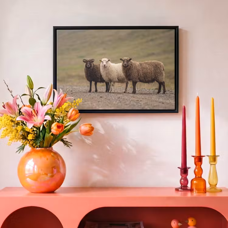 Canvas met lijst - Schapen - Bruin - Wit - Grindpad — 4