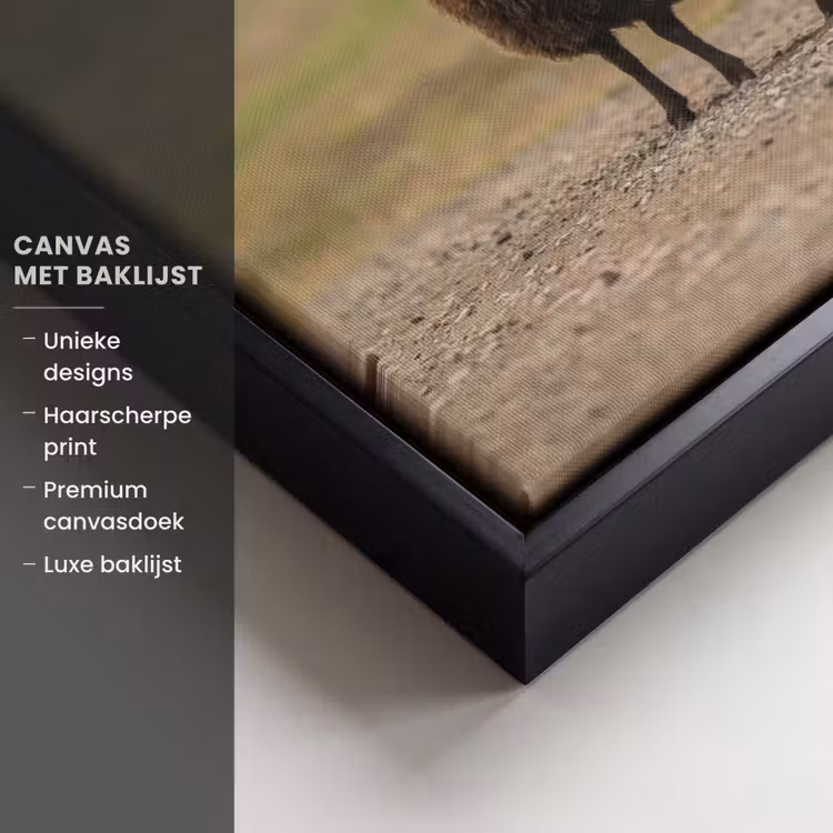 Canvas met lijst - Schapen - Bruin - Wit - Grindpad — 5