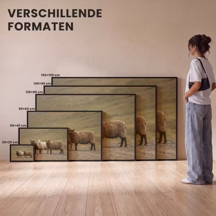 Canvas met lijst - Schapen - Bruin - Wit - Grindpad — 7