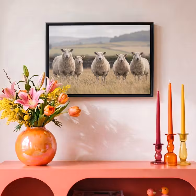 Canvas met lijst - Schapen - Weidenlandschap - Heuvels — 4