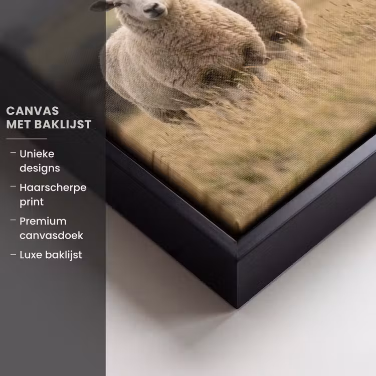 Canvas met lijst - Schapen - Weidenlandschap - Heuvels — 5