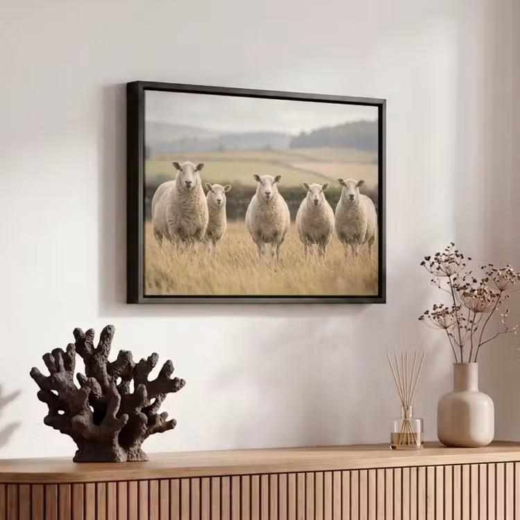 Canvas met lijst - Schapen - Weidenlandschap - Heuvels — 6
