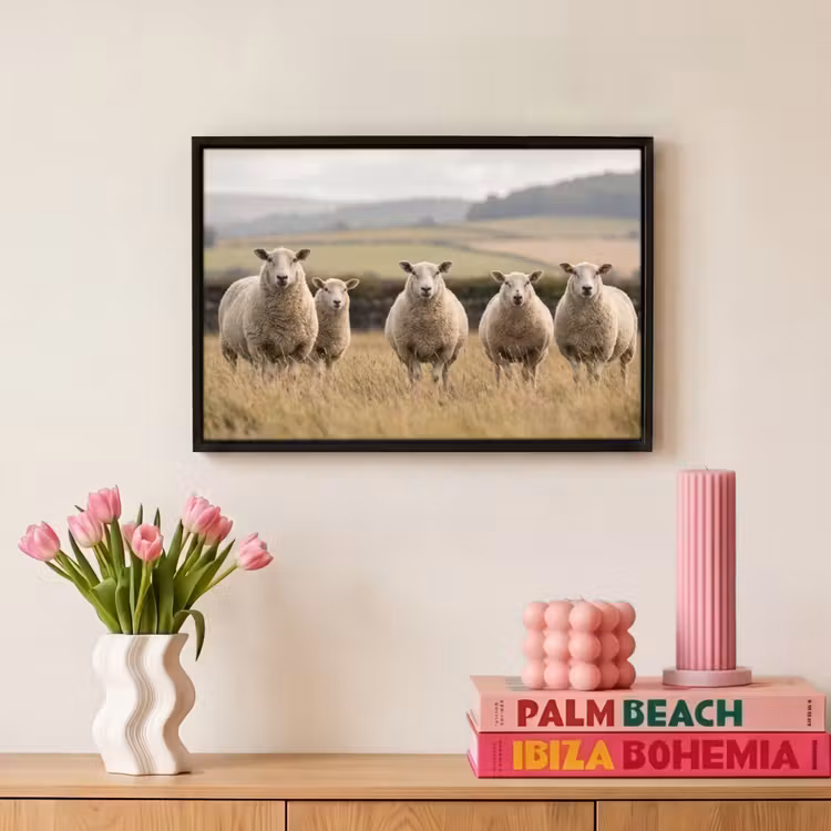 Canvas met lijst - Schapen - Weidenlandschap - Heuvels — 8