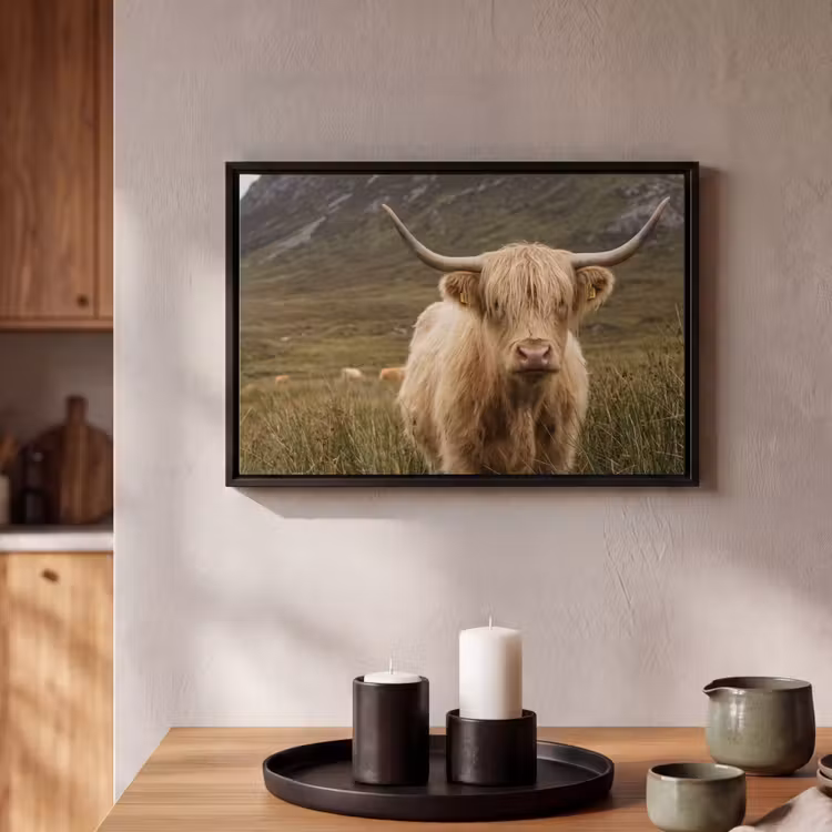 Canvas met lijst - Schotse hooglander - Bergen - Grasveld — 2