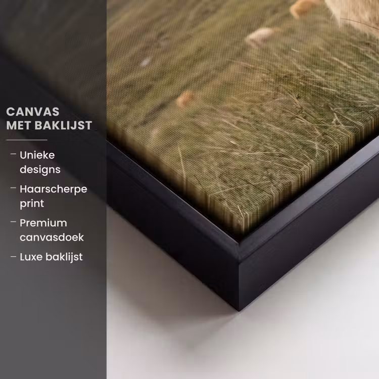 Canvas met lijst - Schotse hooglander - Bergen - Grasveld — 5