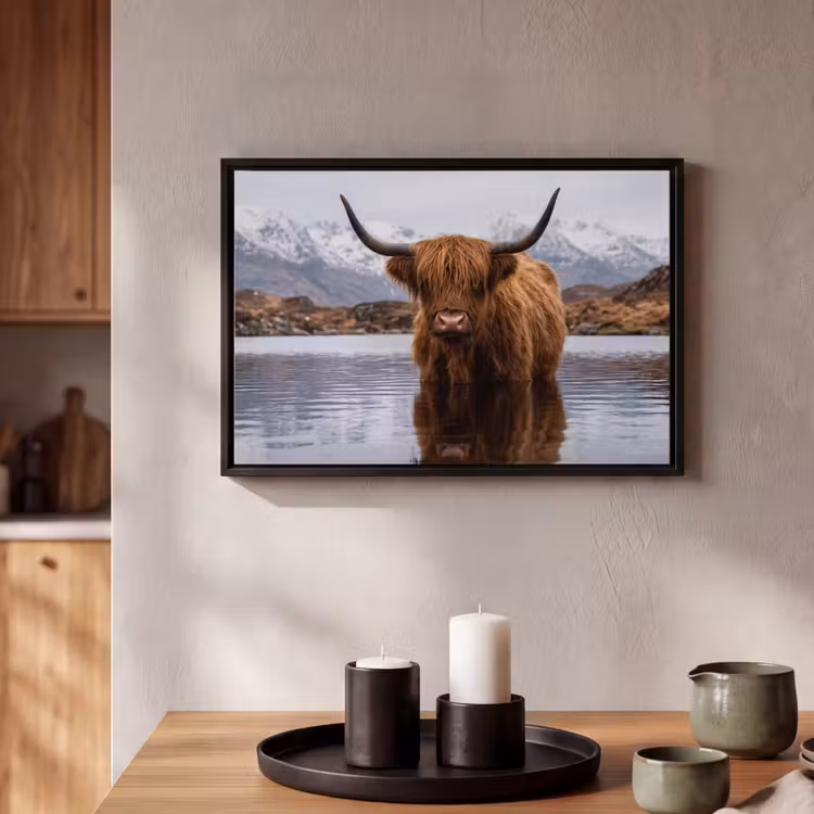 Canvas met lijst - Schotse hooglander - Bruin - Water — 2