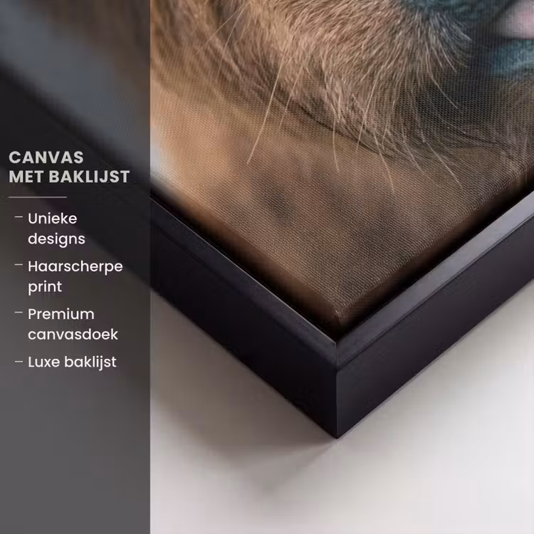Canvas met lijst - Schotse hooglander - Neus - Bruin — 5