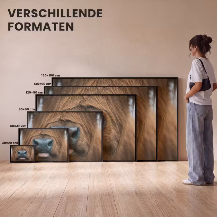 Canvas met lijst - Schotse hooglander - Neus - Bruin — 7