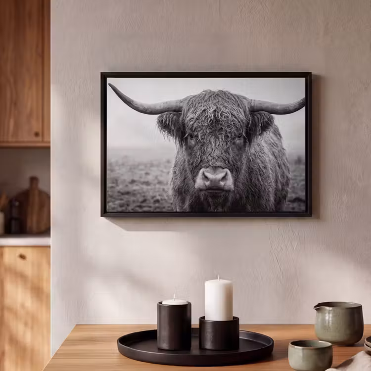 Canvas met lijst - Schotse hooglander - Zwart - Wit - Gras — 2