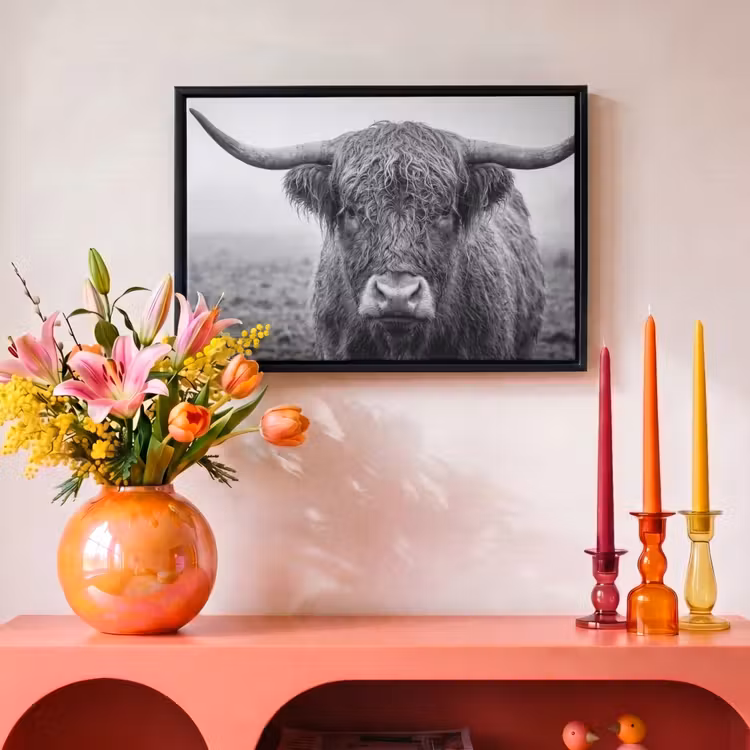 Canvas met lijst - Schotse hooglander - Zwart - Wit - Gras — 4