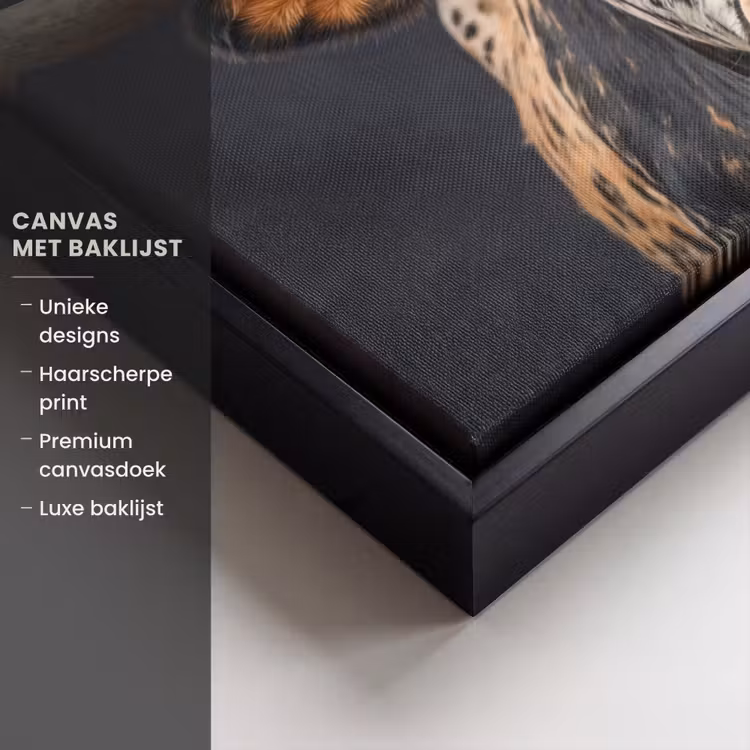 Canvas met lijst - Stier - Kleurrijk - Hoorns — 5