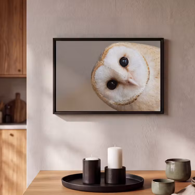 Canvas met lijst - Uil - Bruin - Wit — 2