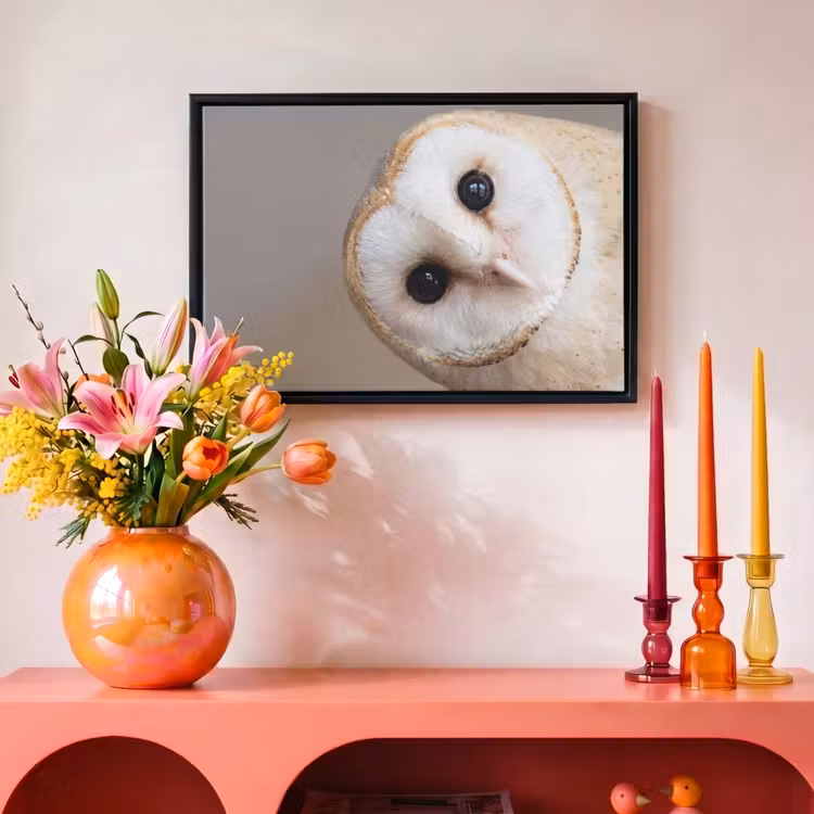 Canvas met lijst - Uil - Bruin - Wit — 4