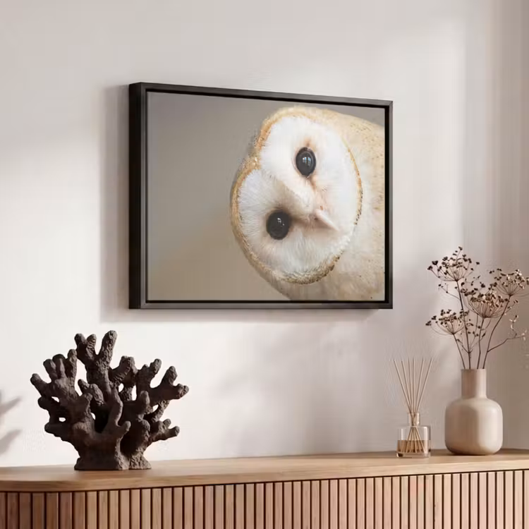 Canvas met lijst - Uil - Bruin - Wit — 6