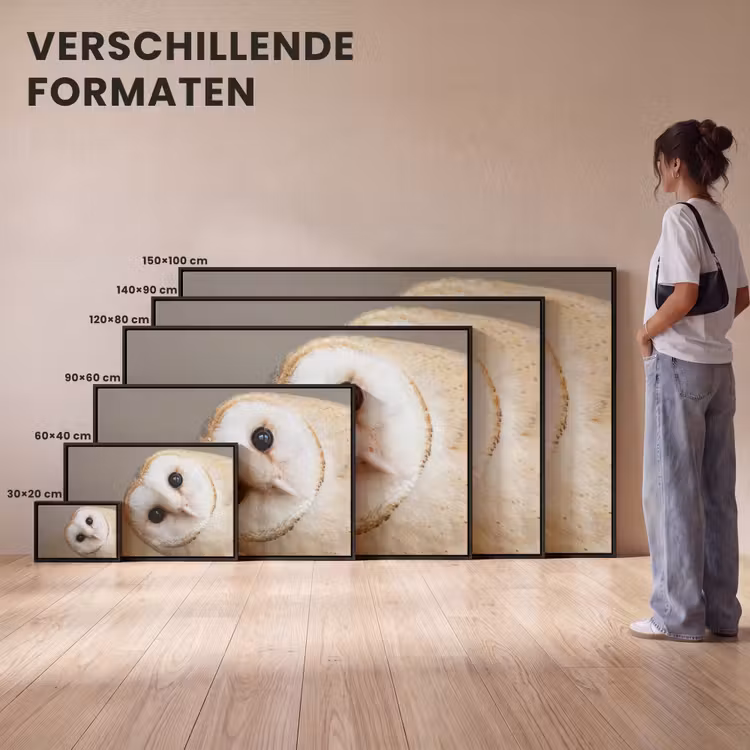 Canvas met lijst - Uil - Bruin - Wit — 7