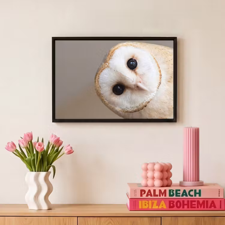 Canvas met lijst - Uil - Bruin - Wit — 8