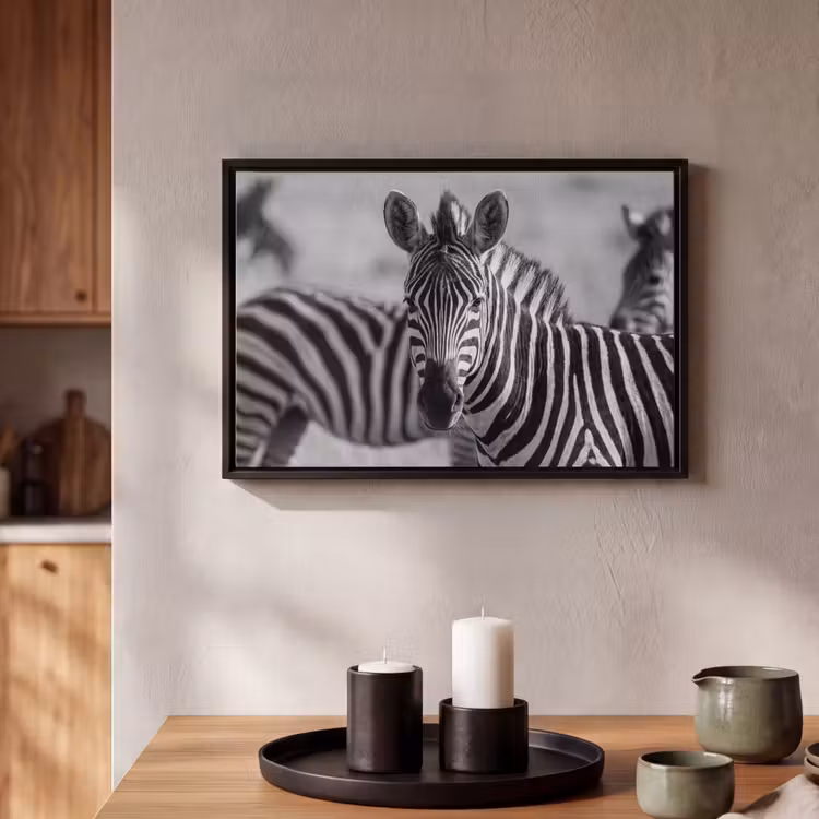 Canvas met lijst - Zebra's - Zwart - Wit — 2