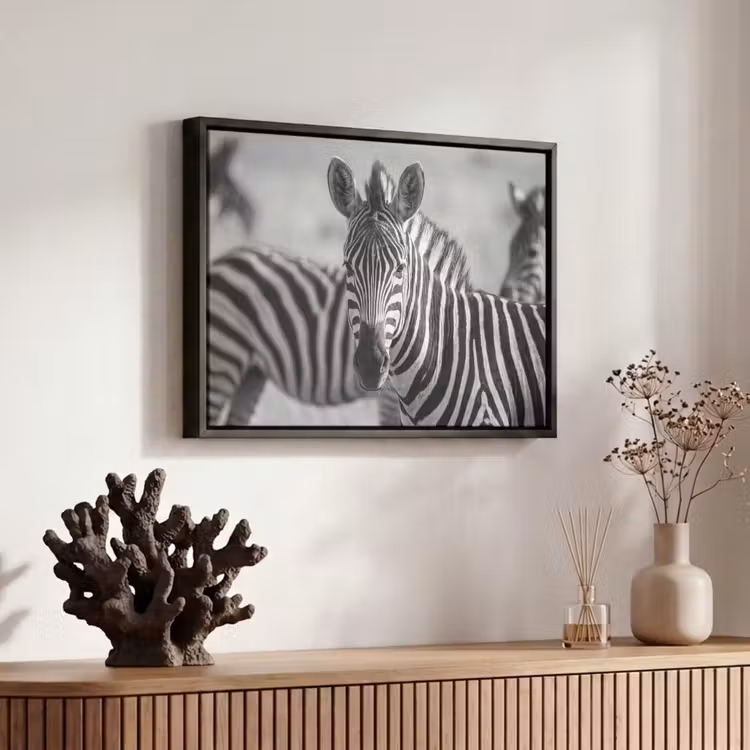 Canvas met lijst - Zebra's - Zwart - Wit — 6