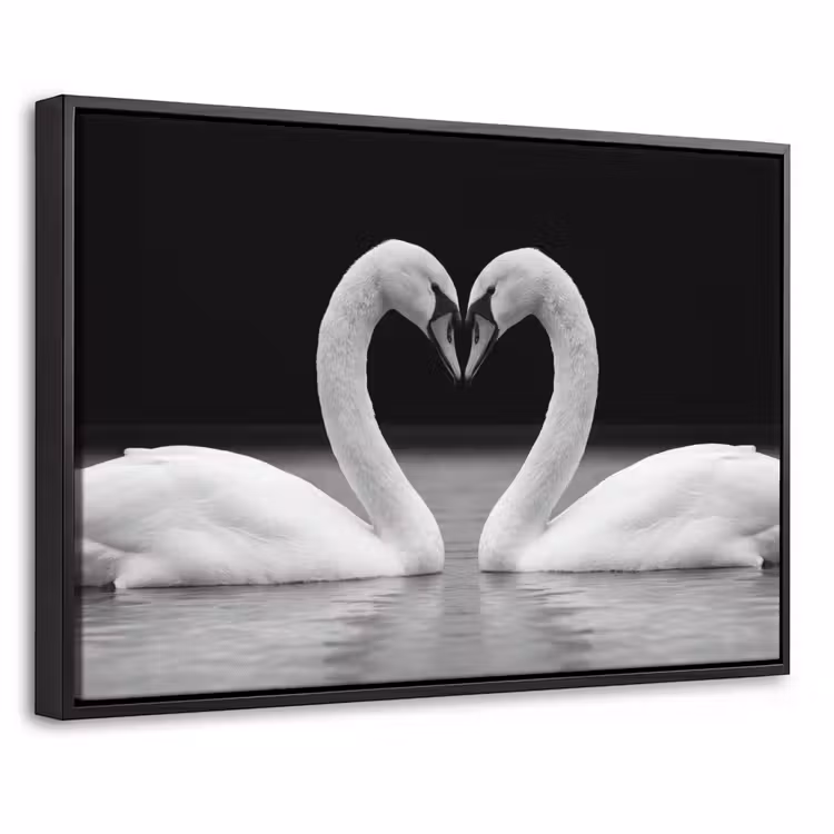 Canvas met lijst - Zwanen - Hart - Zwart - Wit — 1