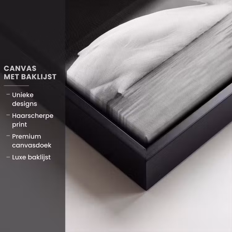 Canvas met lijst - Zwanen - Hart - Zwart - Wit — 5