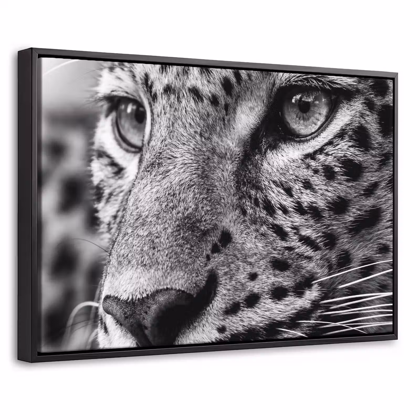 Canvas met lijst - Luipaard - Zwart - Wit - Oog — 1