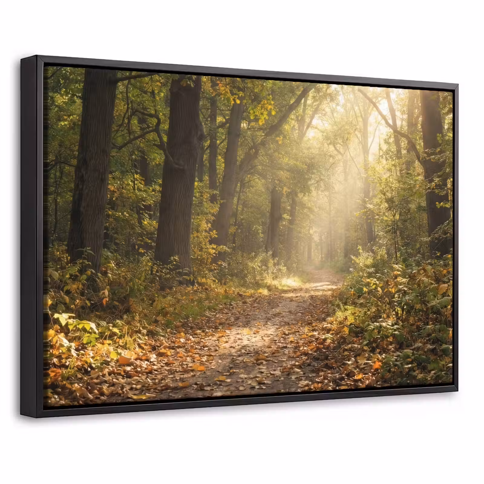 Canvas met lijst - Zonlicht - Bospad - Bomen — 1