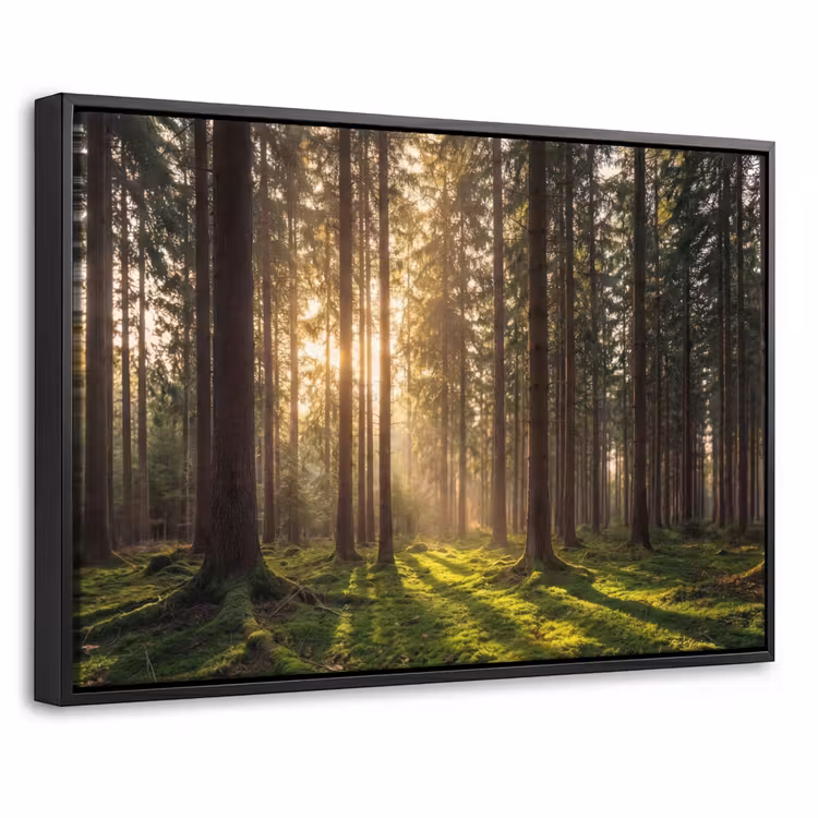 Canvas met lijst - Bos - Gras - Zonlicht — 1