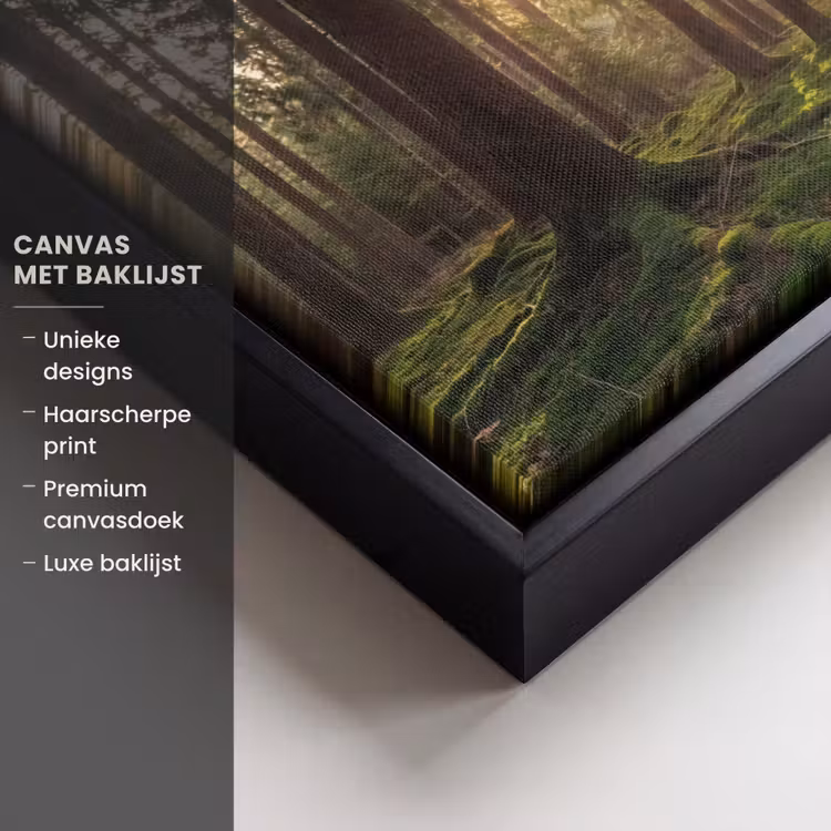Canvas met lijst - Bos - Gras - Zonlicht — 5
