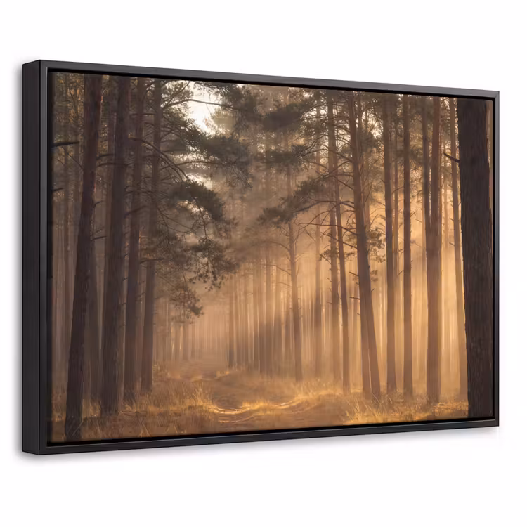 Canvas met lijst - Bos - Mist - Zonlicht — 1