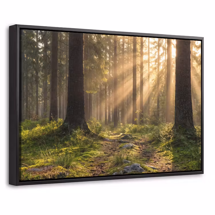Canvas met lijst - Bos - Zonlicht - Gras — 1