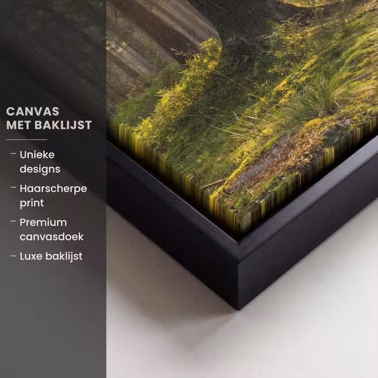Canvas met lijst - Bos - Zonlicht - Gras — 5