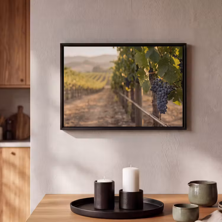 Canvas met lijst - Druiven - Wijngaard - Zonlicht — 2