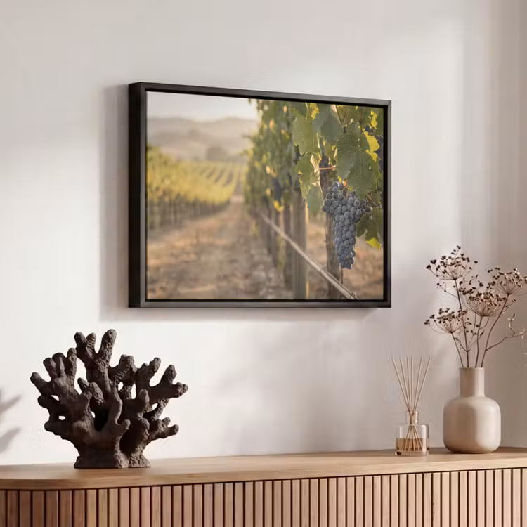 Canvas met lijst - Druiven - Wijngaard - Zonlicht — 6