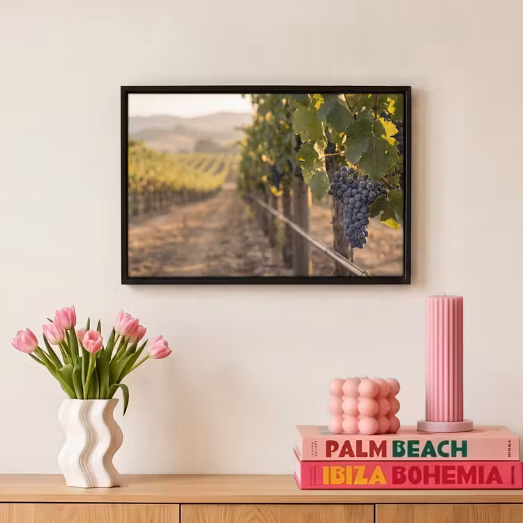 Canvas met lijst - Druiven - Wijngaard - Zonlicht — 8