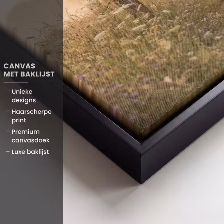 Canvas met lijst - Hek - Natuur - Mist - Veld — 5
