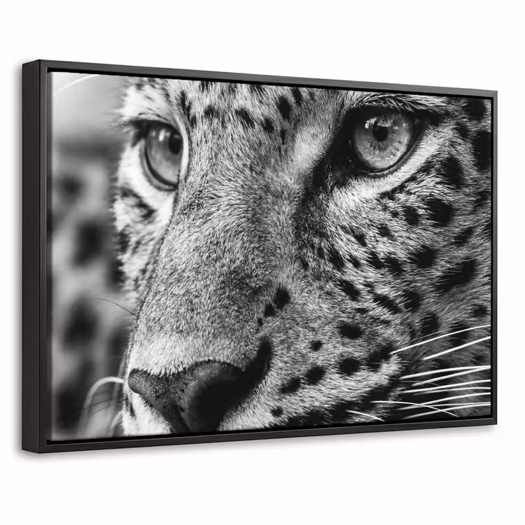 Canvas met lijst - Luipaard - Zwart - Wit - Oog — 1