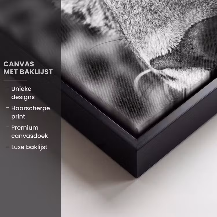 Canvas met lijst - Luipaard - Zwart - Wit - Oog — 5
