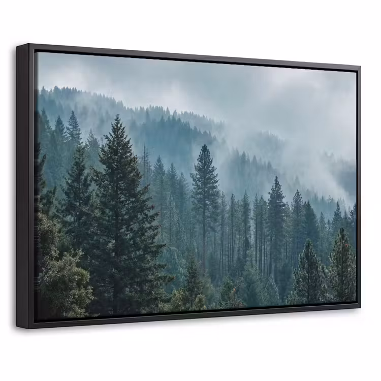Canvas met lijst - Naaldwoud - Bergen - Nebel — 1