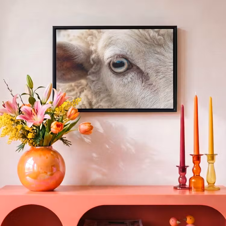 Canvas met lijst - Schaap - Oog - Wit — 4
