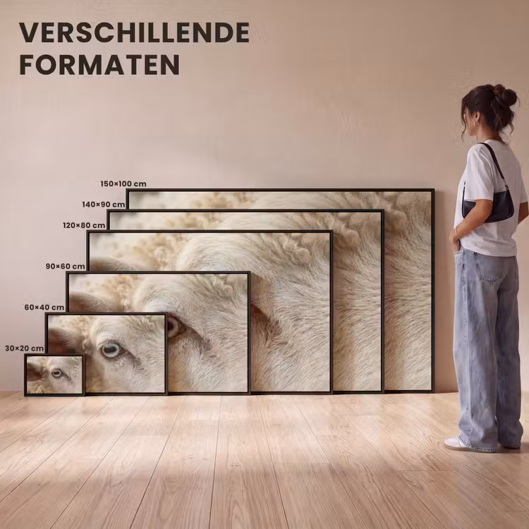 Canvas met lijst - Schaap - Oog - Wit — 7