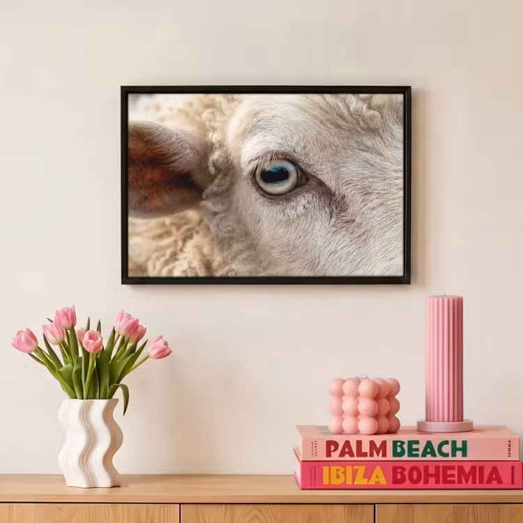 Canvas met lijst - Schaap - Oog - Wit — 8