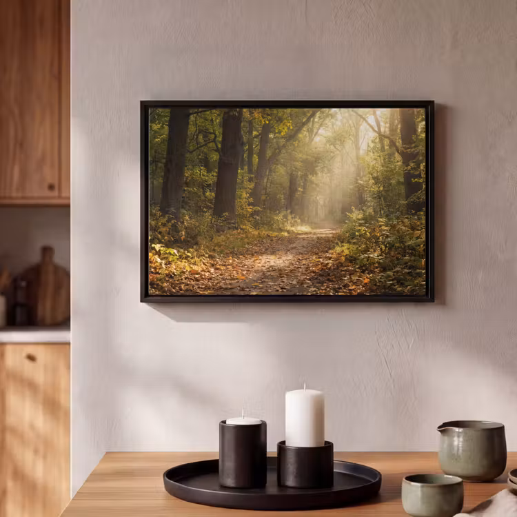 Canvas met lijst - Zonlicht - Bospad - Bomen — 2