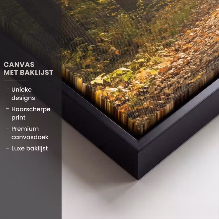 Canvas met lijst - Zonlicht - Bospad - Bomen — 5