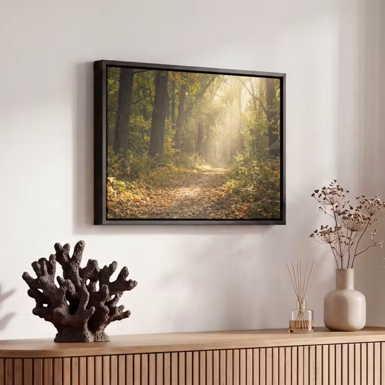 Canvas met lijst - Zonlicht - Bospad - Bomen — 6