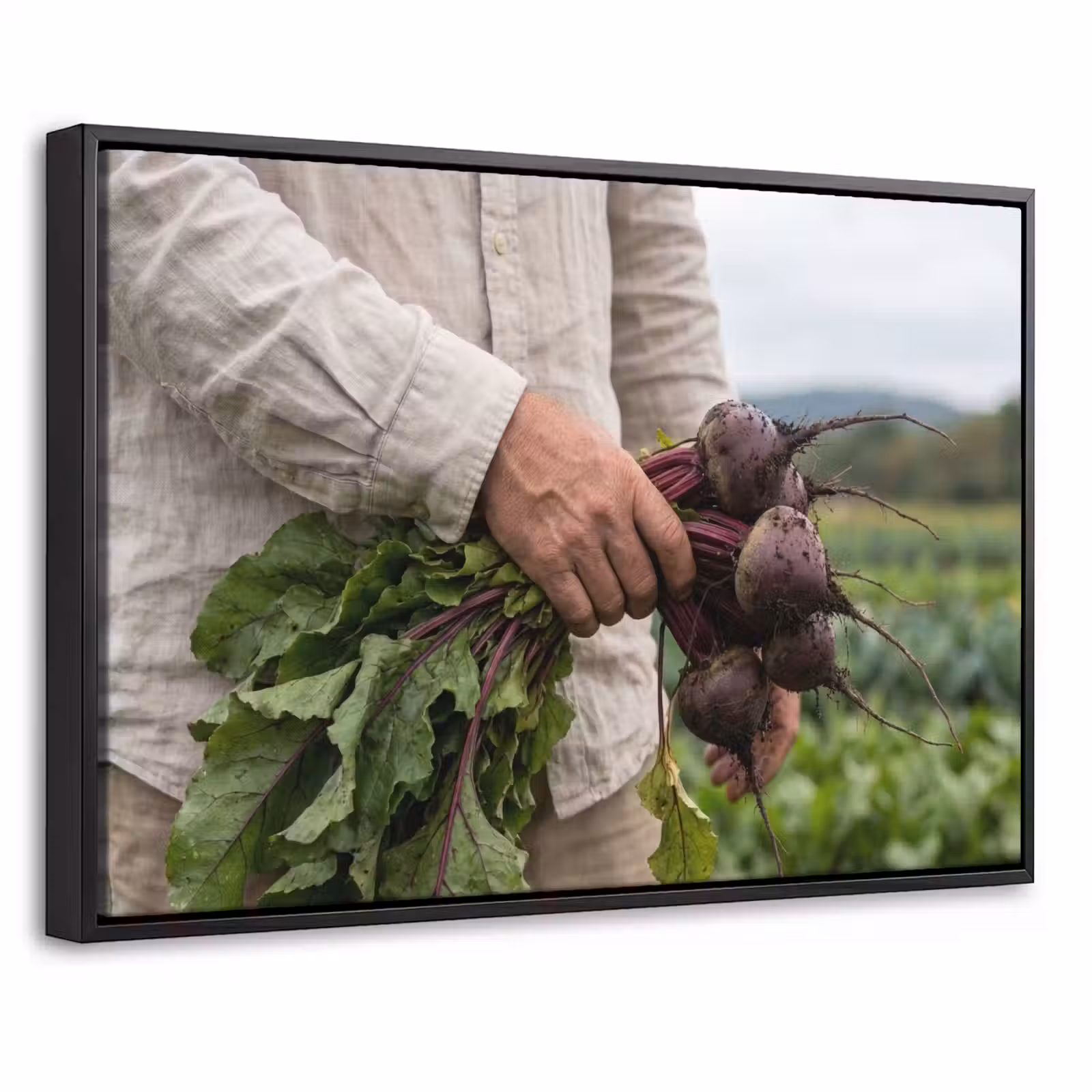 Canvas met lijst - Bieten - Vers - Moestuin — 1